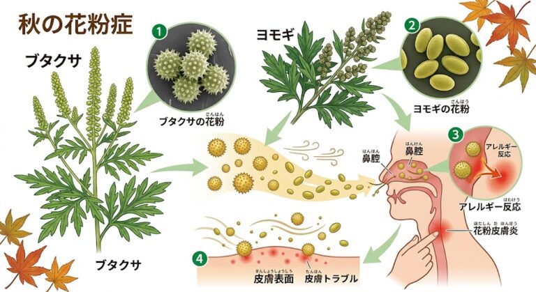 秋の花粉（ブタクサ・ヨモギ）で悪化する「花粉皮膚炎」の症状・原因と治療法